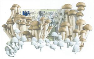 Dreaming of Decomposition Euro by KAREN FRANCESCA