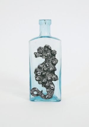 Bargibant’s Seahorse by Lily Mixe