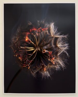 Burning Heart By Rankin