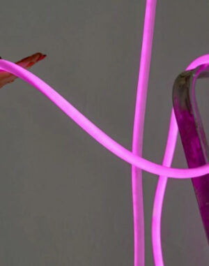 Flex Tube, 5M, Bright Pink by Studio About