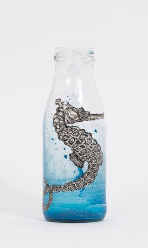 West Australian Seahorse by LILY MIXE
