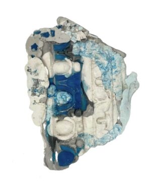 Crustose (Small Blue) by Catriona Robertson