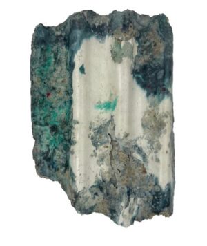 Heleborous X Hybridus (Small Green) by Catriona Robertson